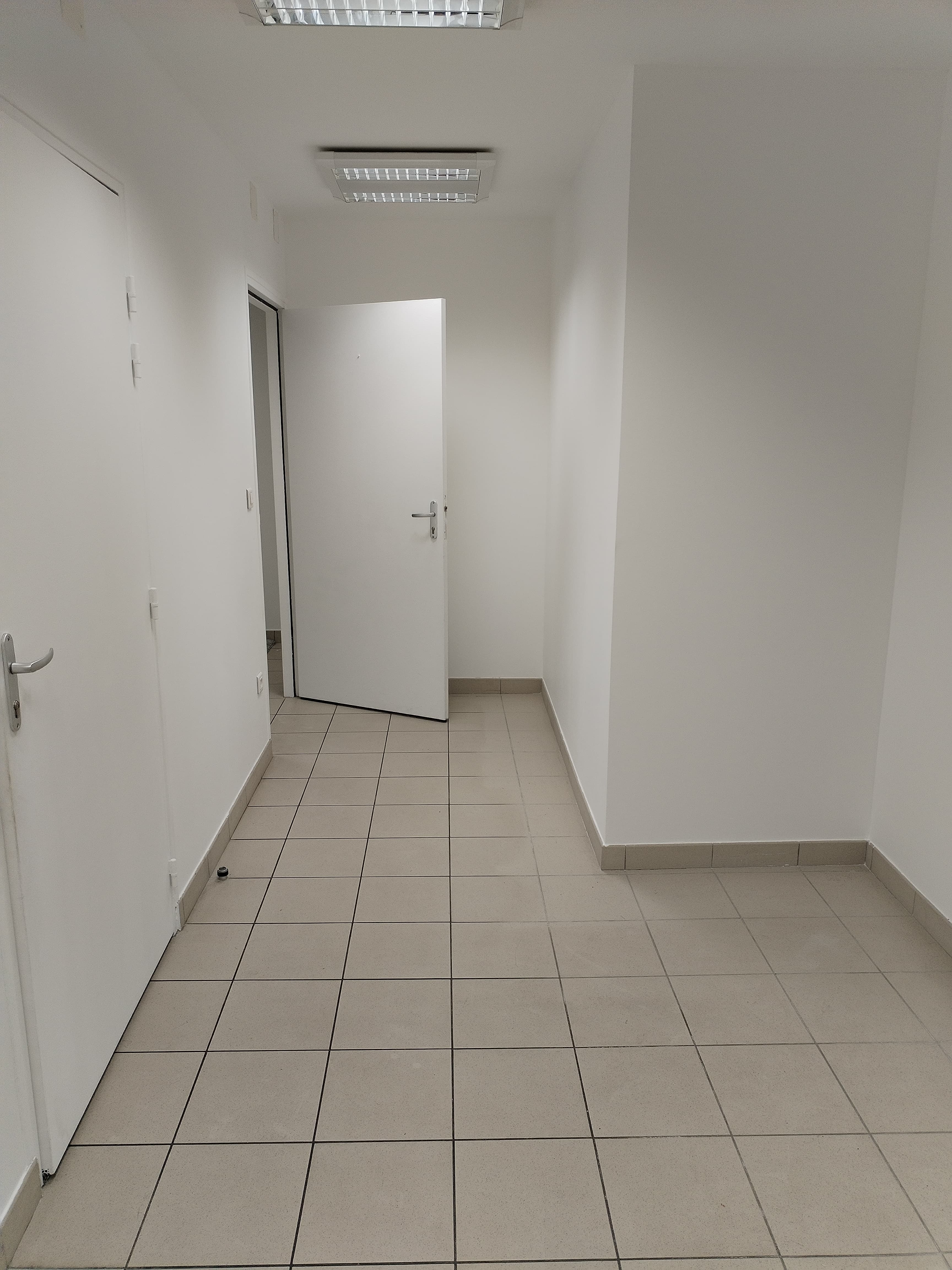 inbound171746171116880310.jpg