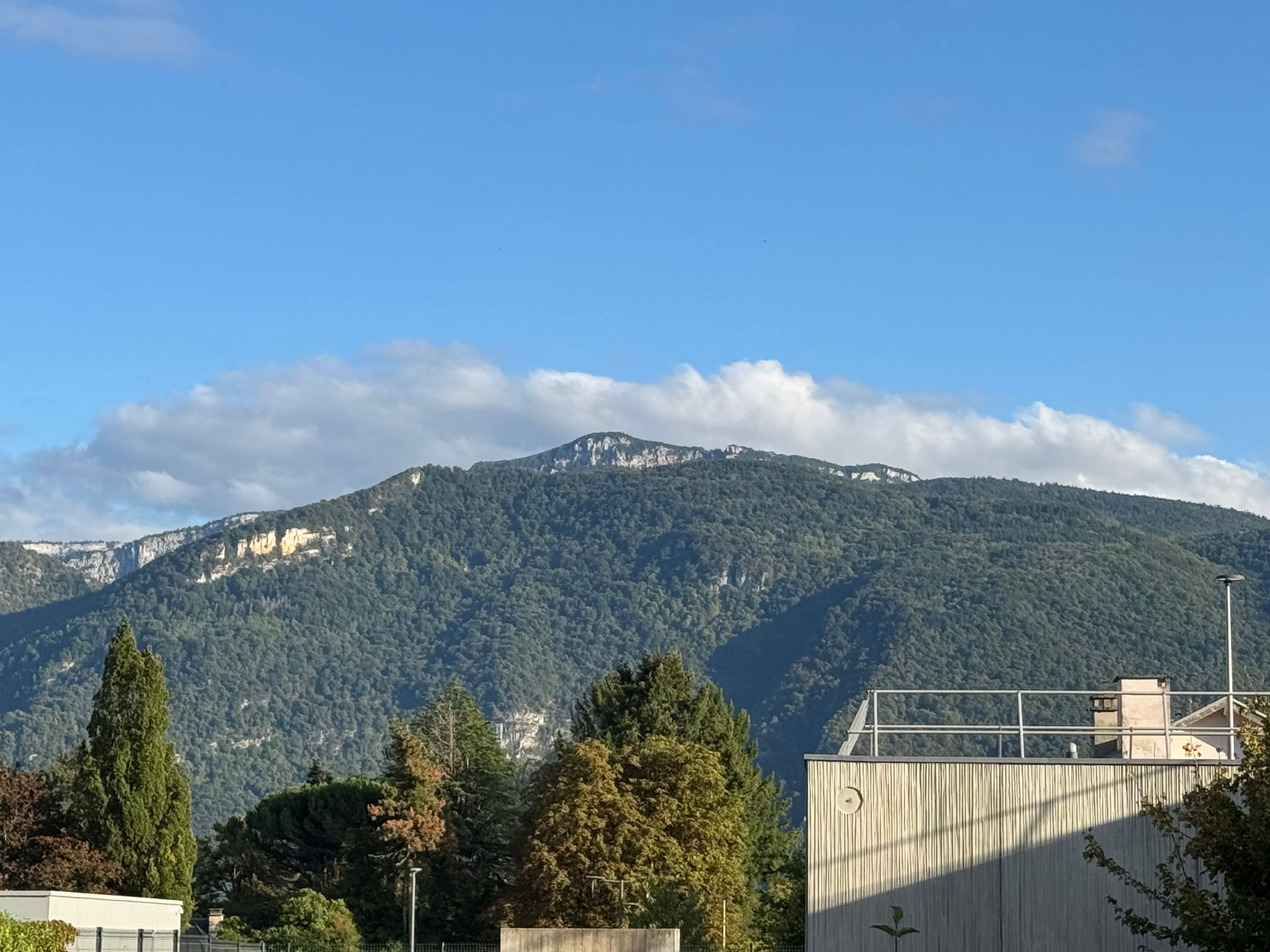 IMG_4849.jpeg